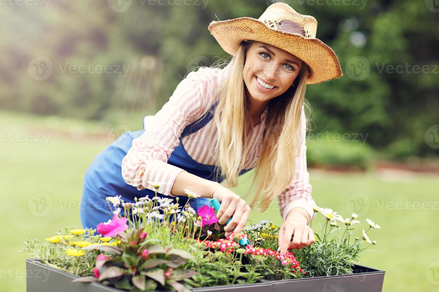 mulher cultivando flores ao ar livre no verão foto