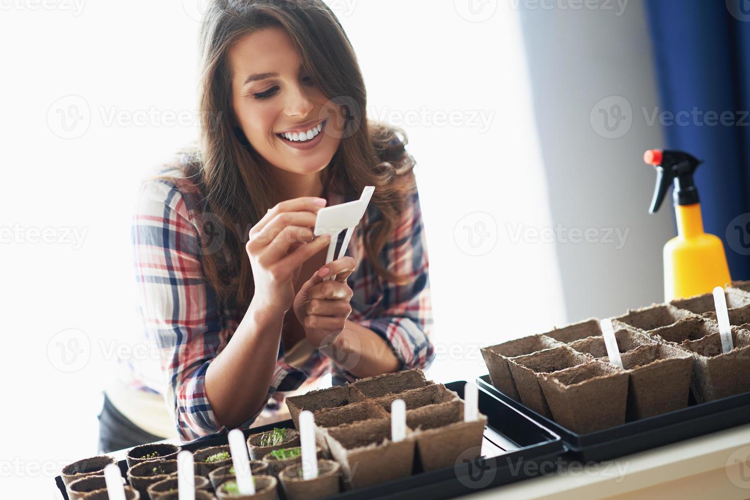 mulher madura plantando sementes em estufa foto