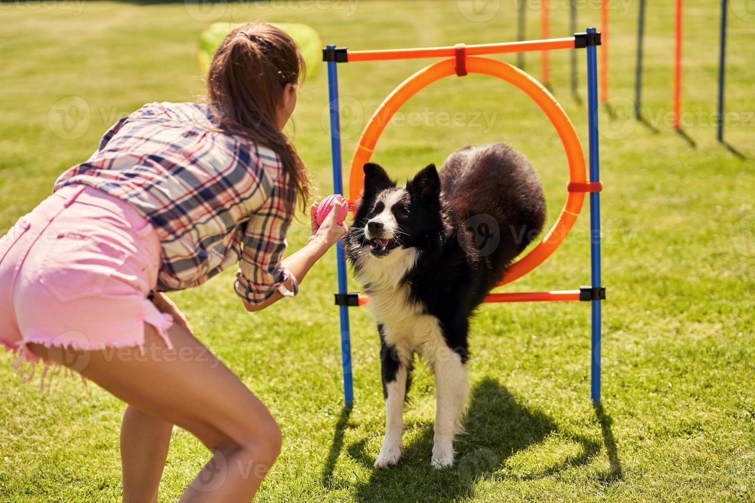 cachorro border collie e uma mulher em um campo de agilidade foto