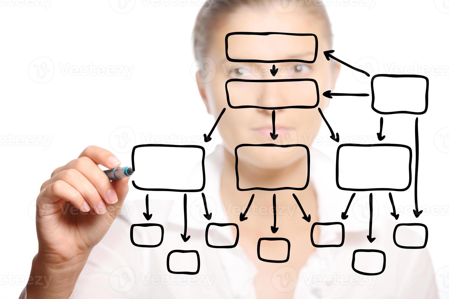 jovem empresária desenhando um diagrama foto