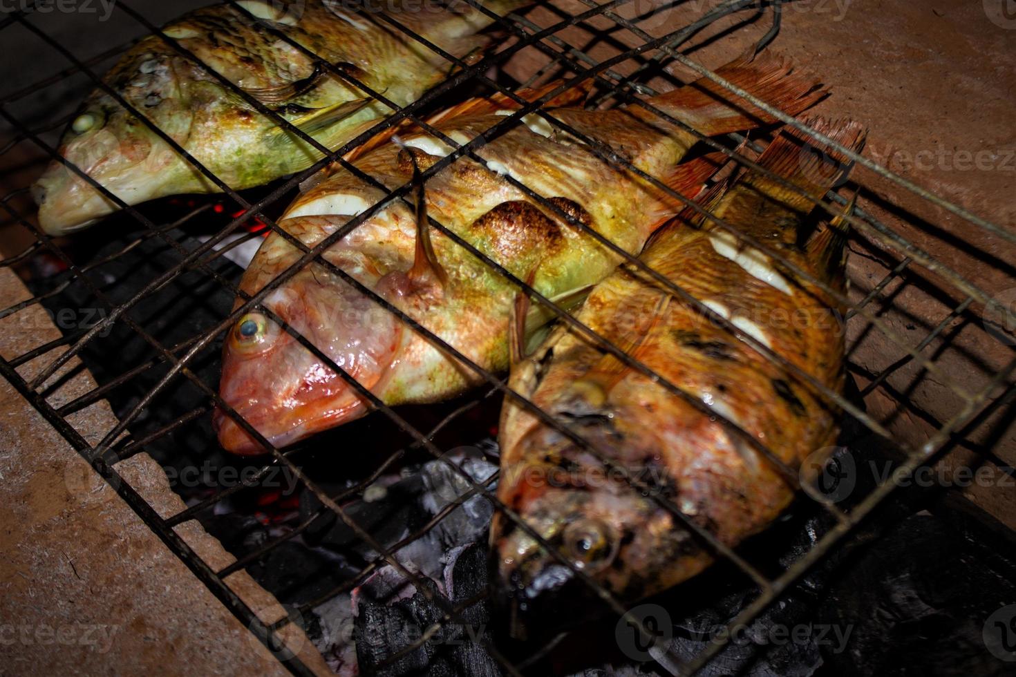 Peixe tilápia do nilo grelhado na grelha a carvão Peixe tilápia do nilo grelhado na grelha a carvão foto