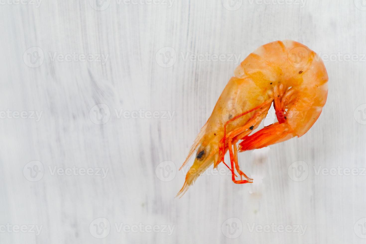 camarão ou camarão isolado no fundo branco camarão ou camarão isolado no fundo branco foto