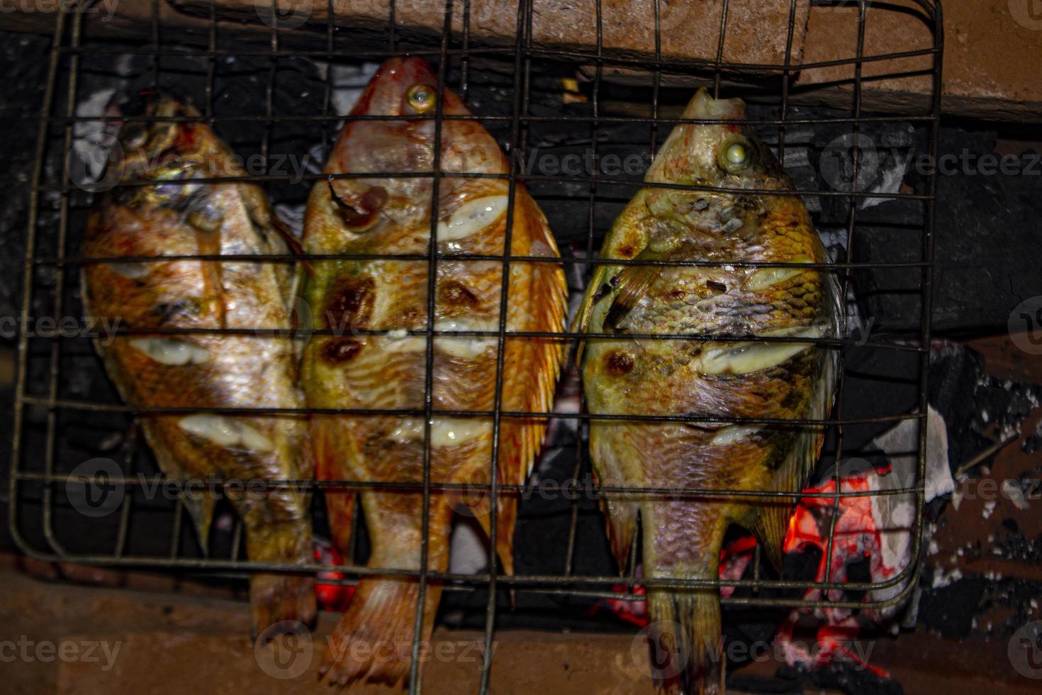 Peixe tilápia do nilo grelhado na grelha a carvão Peixe tilápia do nilo grelhado na grelha a carvão foto