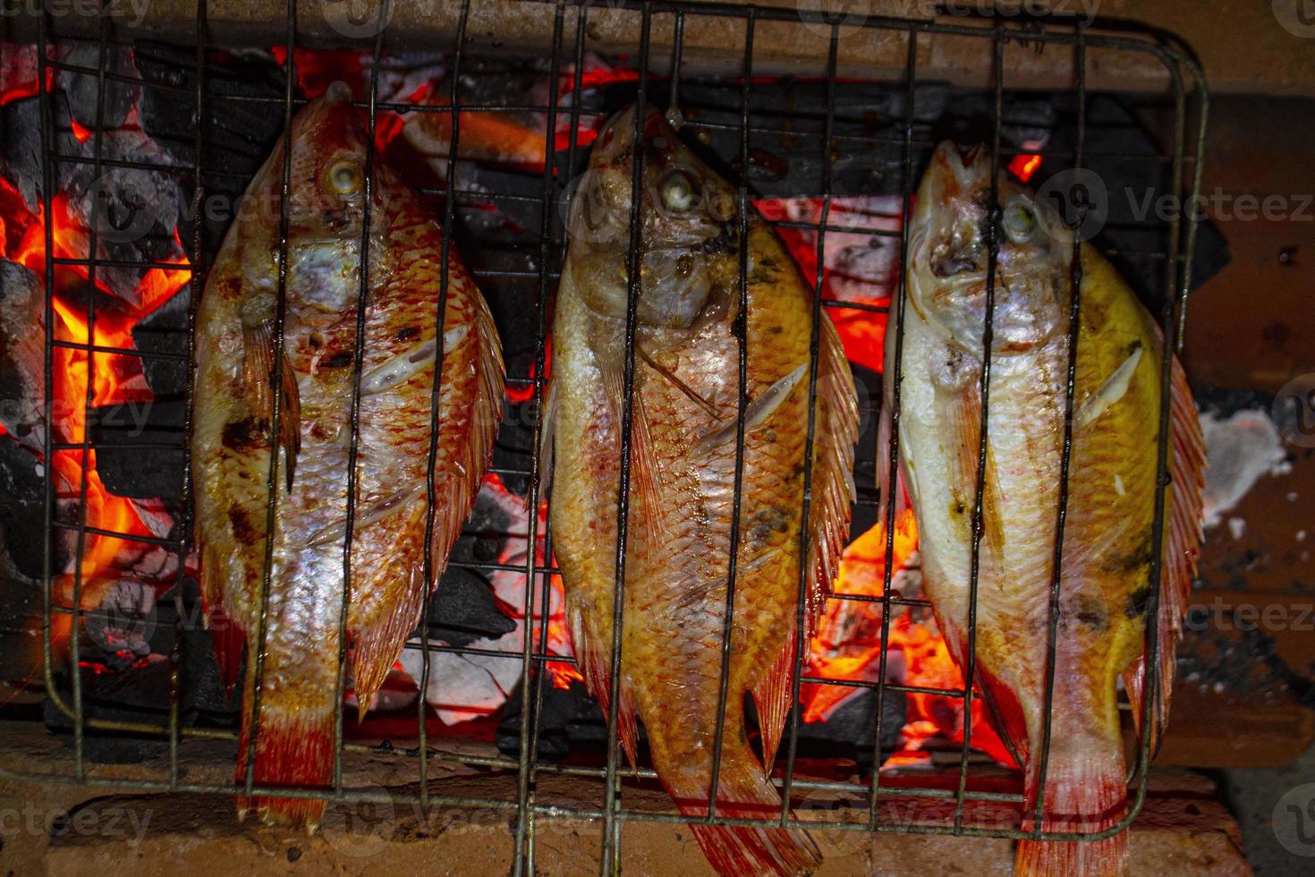 Peixe tilápia do nilo grelhado na grelha a carvão Peixe tilápia do nilo grelhado na grelha a carvão foto