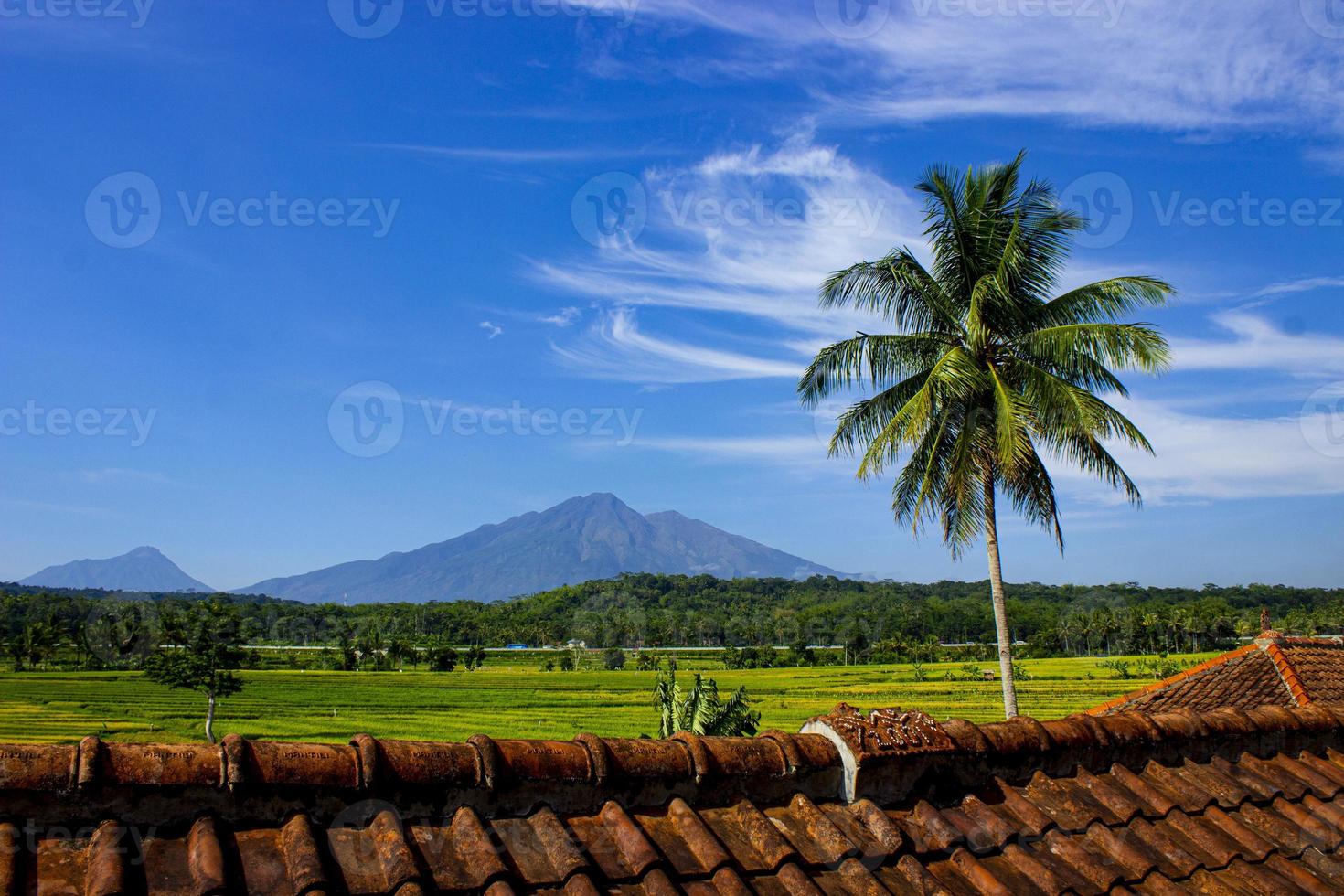 a beleza dos campos de arroz, com montanhas, pedágios salatigo, coqueiros com céu azul em fotos do telhado.