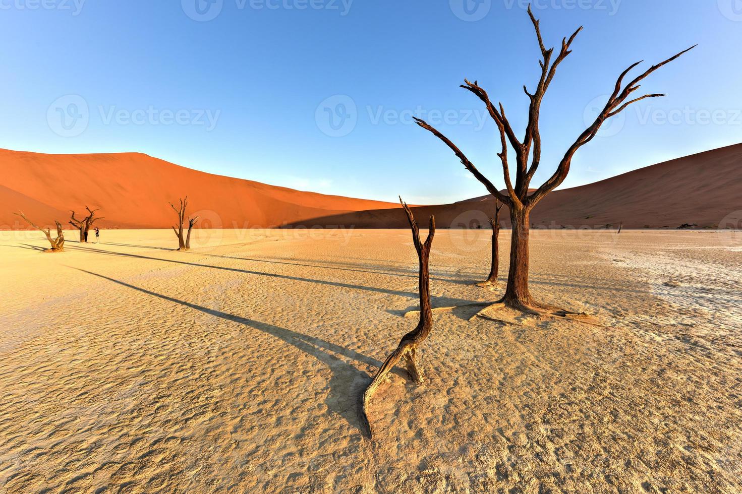 Dead Vlei, Namíbia foto