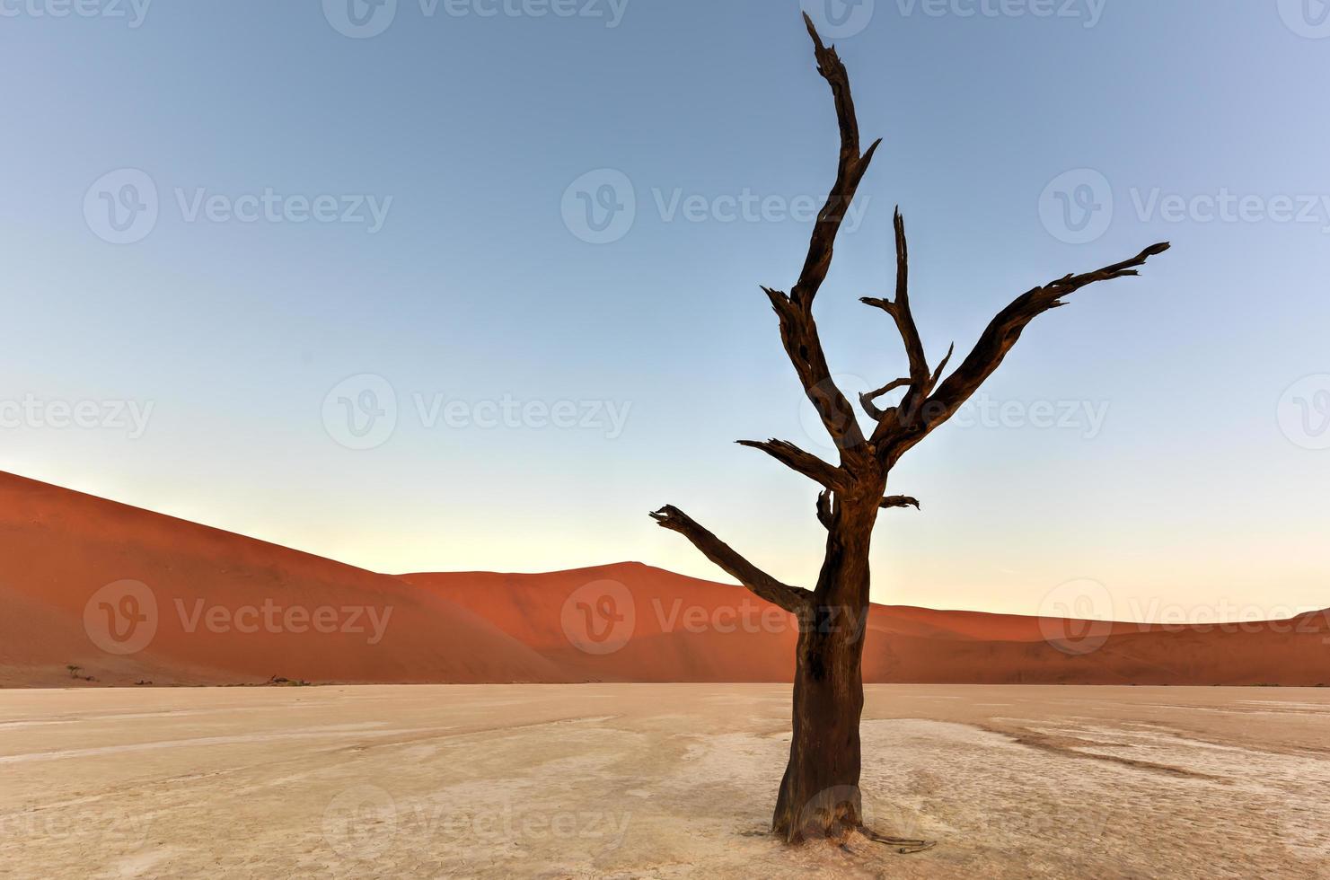 Dead Vlei, Namíbia foto