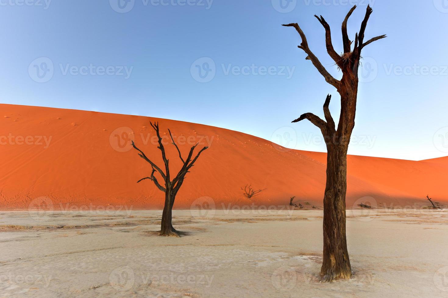 Dead Vlei, Namíbia foto