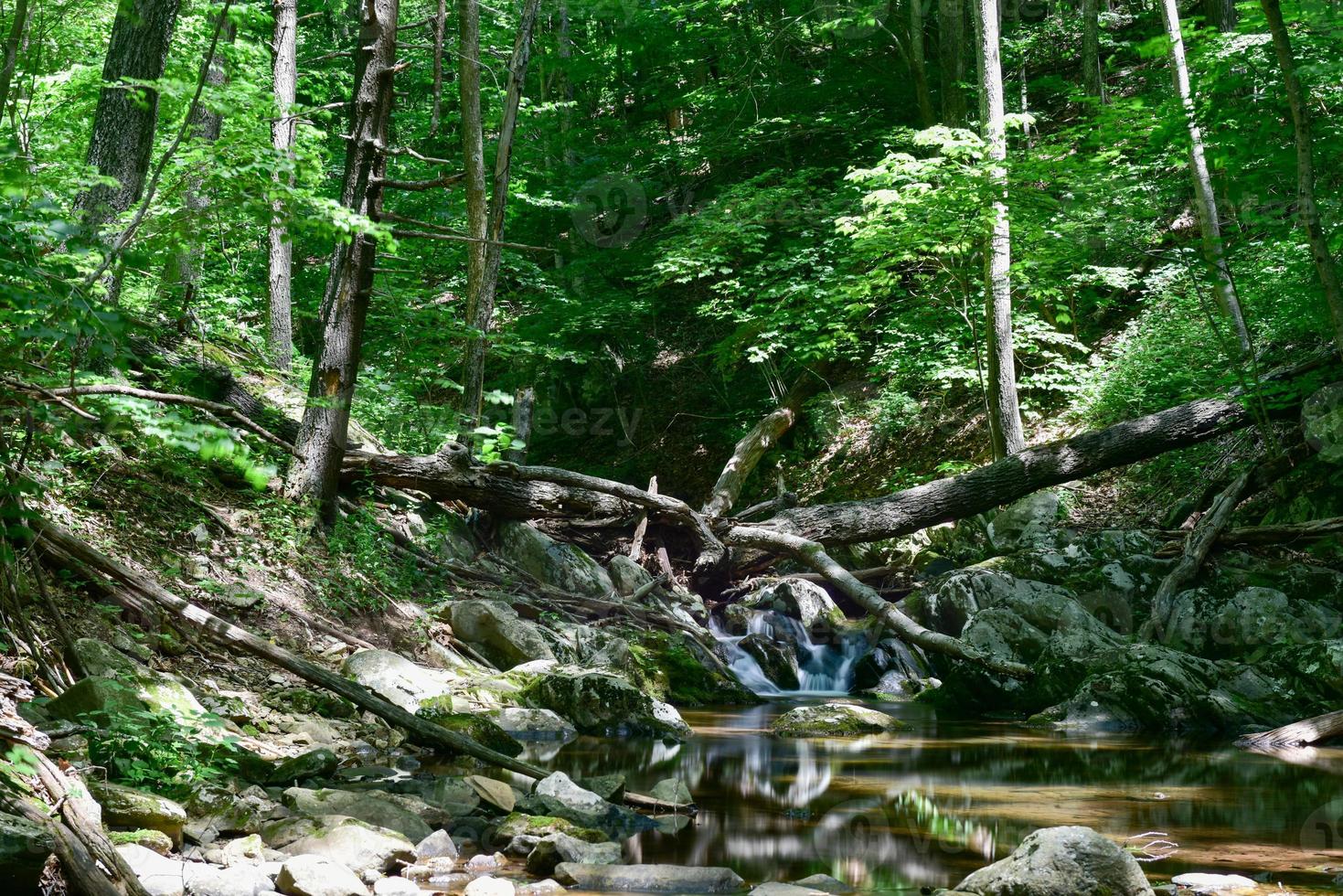 cachoeiras ao longo de uma trilha de caminhada no vale de shenandoah e montanhas azuis do parque nacional de shenandoah, virgínia foto