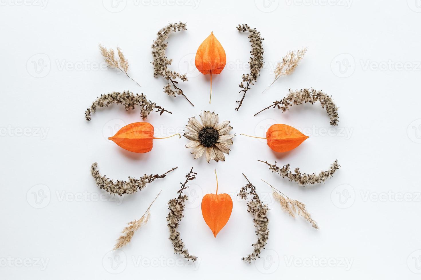 fotografia de flores de mandala, padrão de mandala de queda plana de plantas secas em fundo de papel branco foto