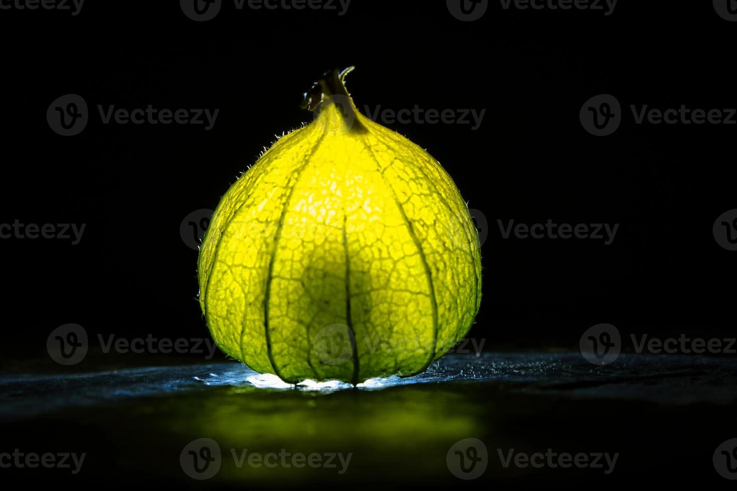 physalis em solo úmido preto. fruta iluminada. fruta rica em vitamina c. fundo preto foto