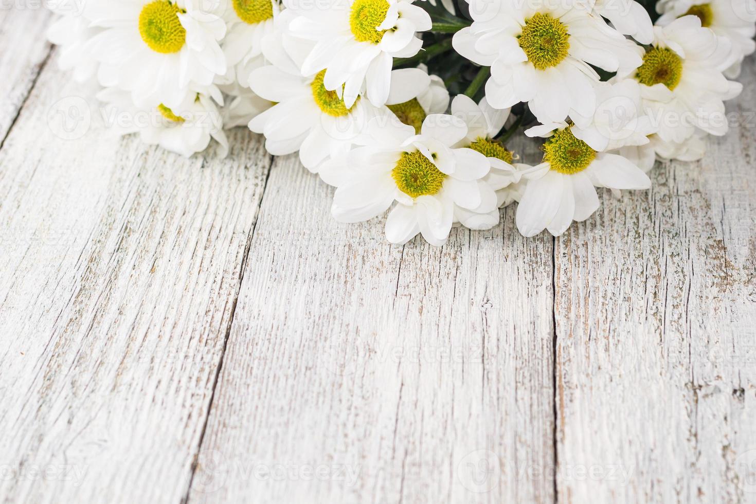 buquê de margaridas em um fundo branco de madeira foto