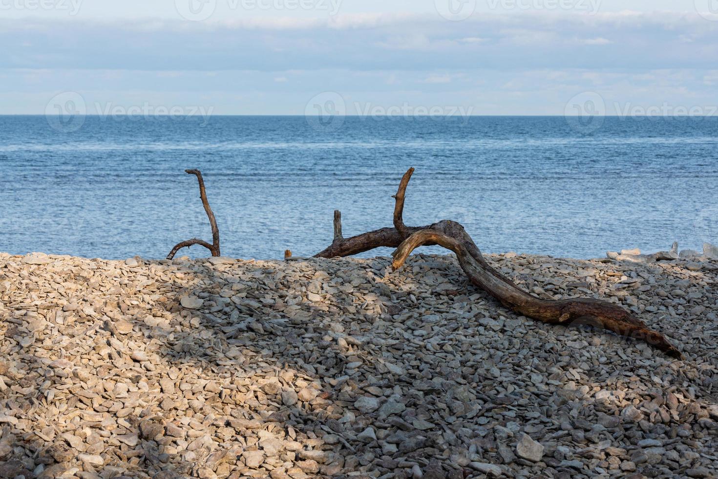 paisagens naturais da ilha de vormsi foto