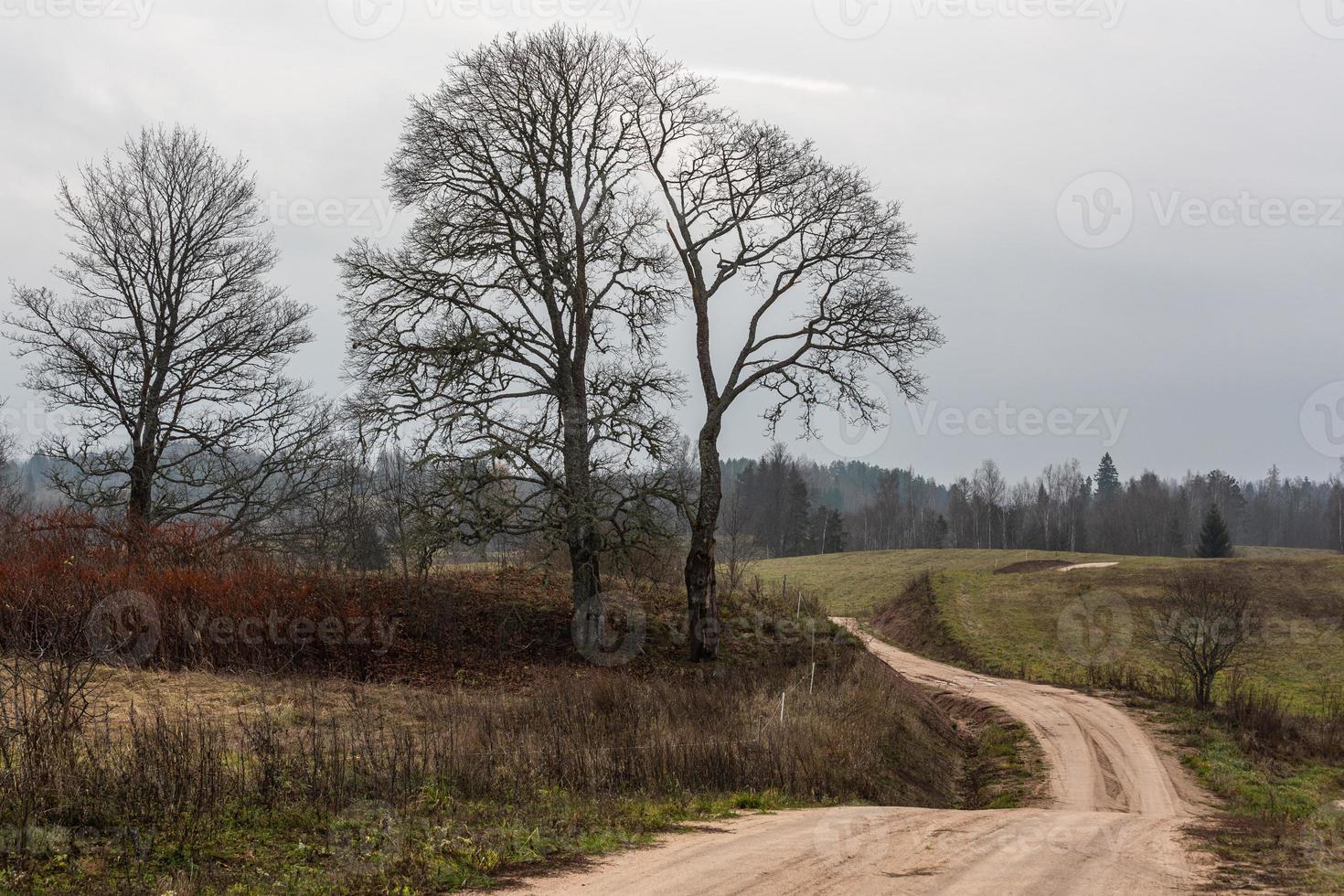 paisagens de outono na letônia foto