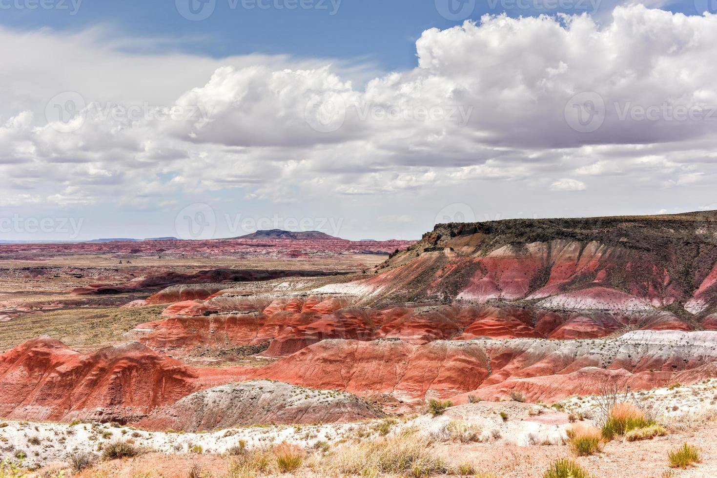 whipple point no parque nacional da floresta petrificada no arizona. foto