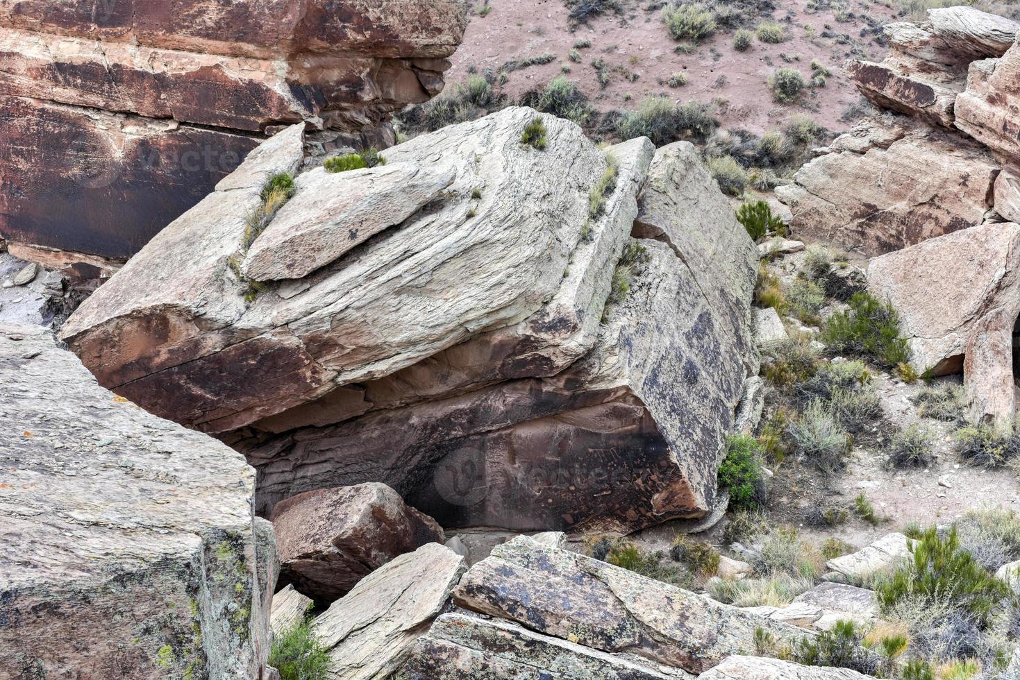 rock de jornal com hieróglifos antigos no parque nacional da floresta petrificada no arizona. foto