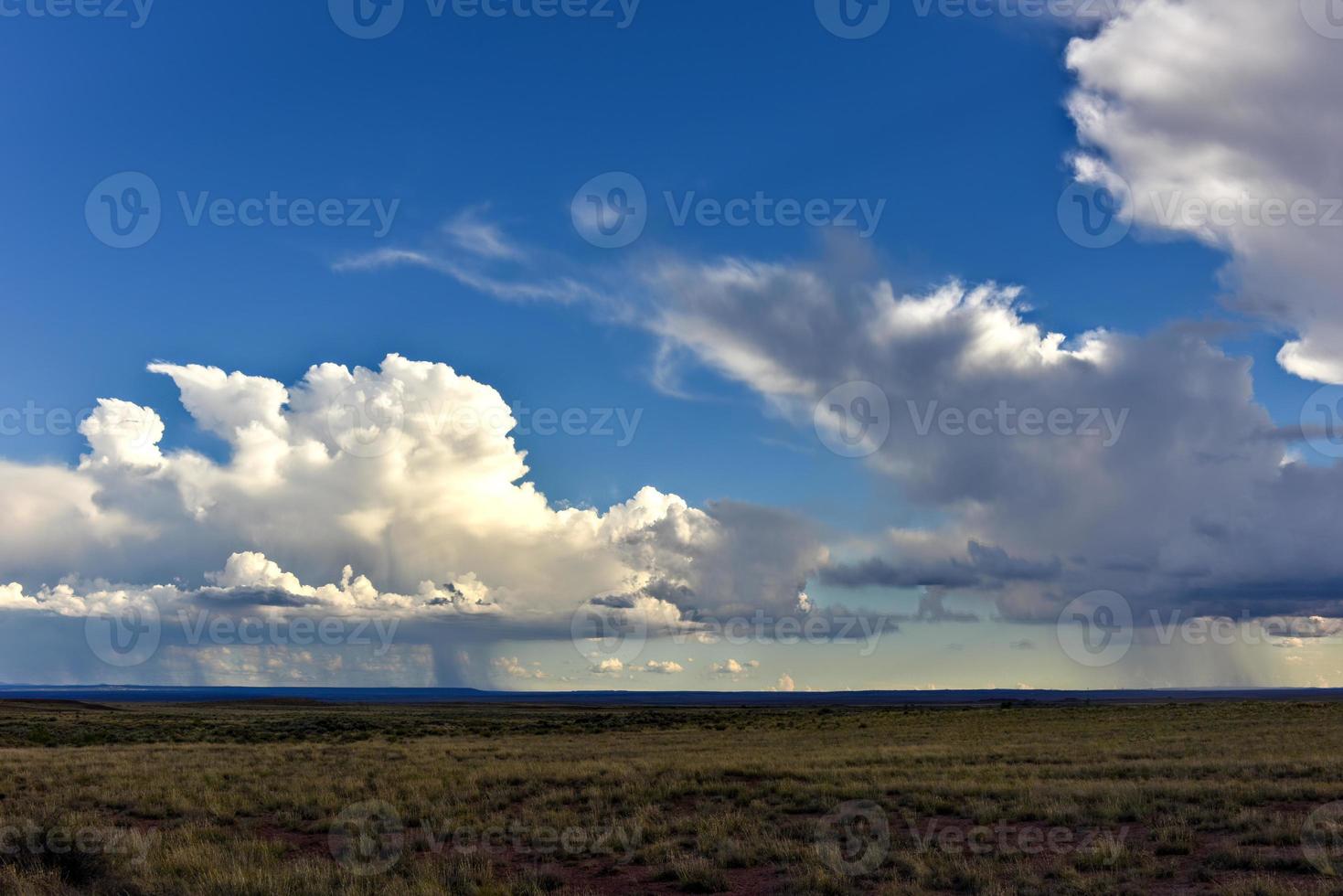 paisagem cênica do arizona com vista para o parque nacional da floresta petrificada. foto