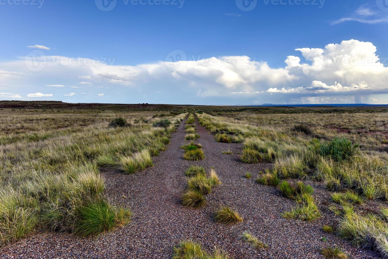 vista ao longo de uma estrada suja saindo do parque nacional da floresta petrificada no arizona. foto