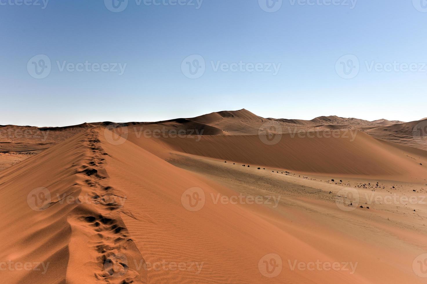 deserto de sossusvlei, namíbia foto