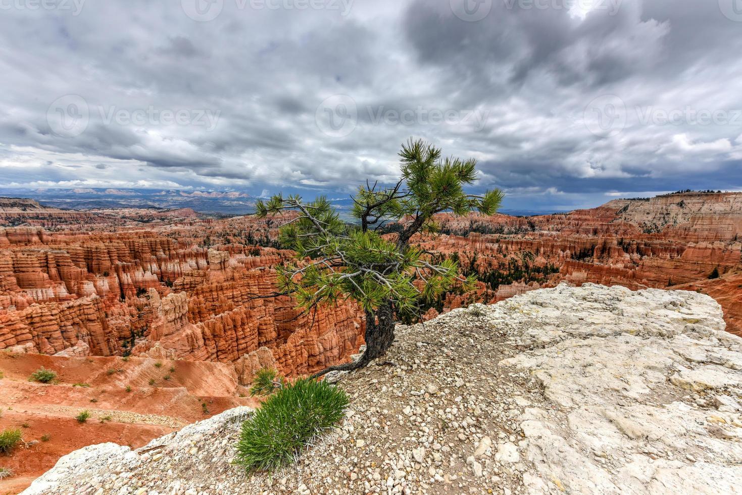 Parque Nacional Bryce Canyon em Utah, Estados Unidos. foto