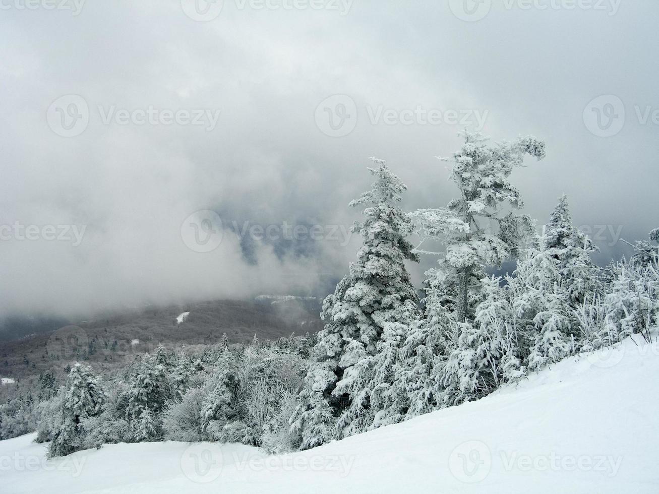 trilhas cobertas de neve em uma estação de esqui de inverno em vermont foto