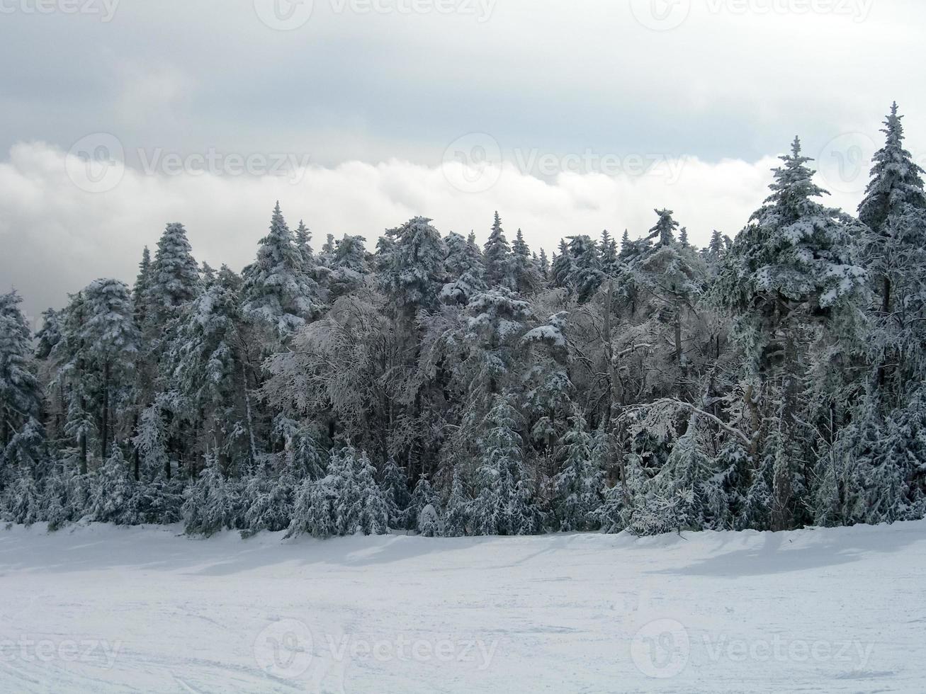 trilhas cobertas de neve em uma estação de esqui de inverno em vermont foto
