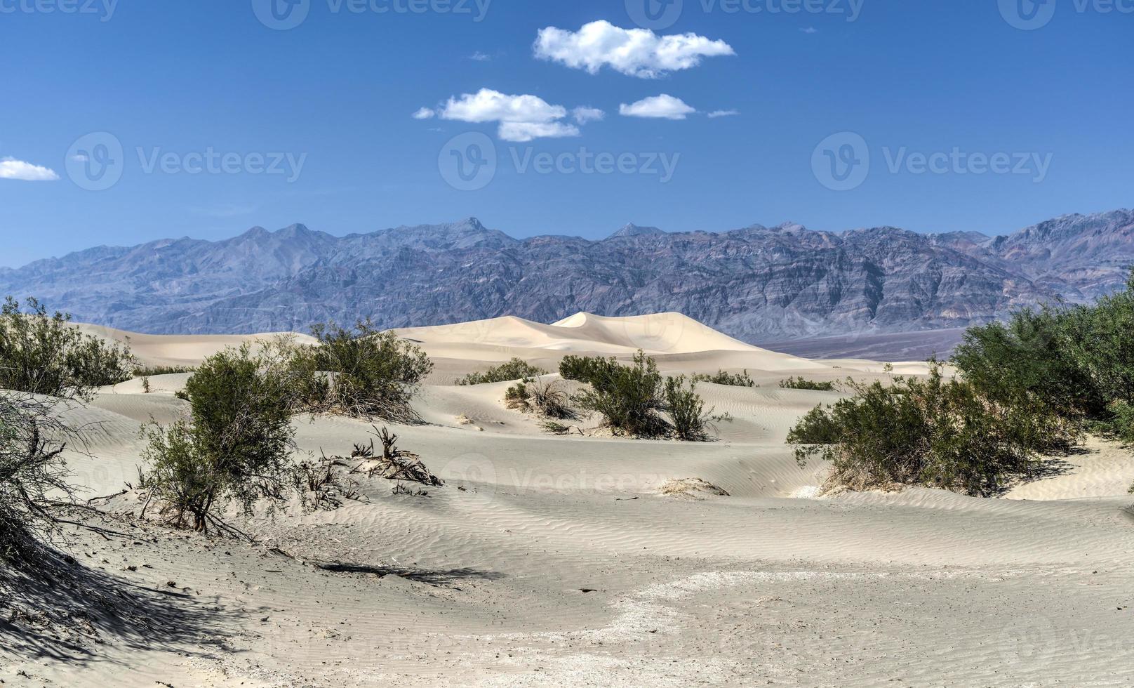 dunas planas de algaroba, vale da morte foto