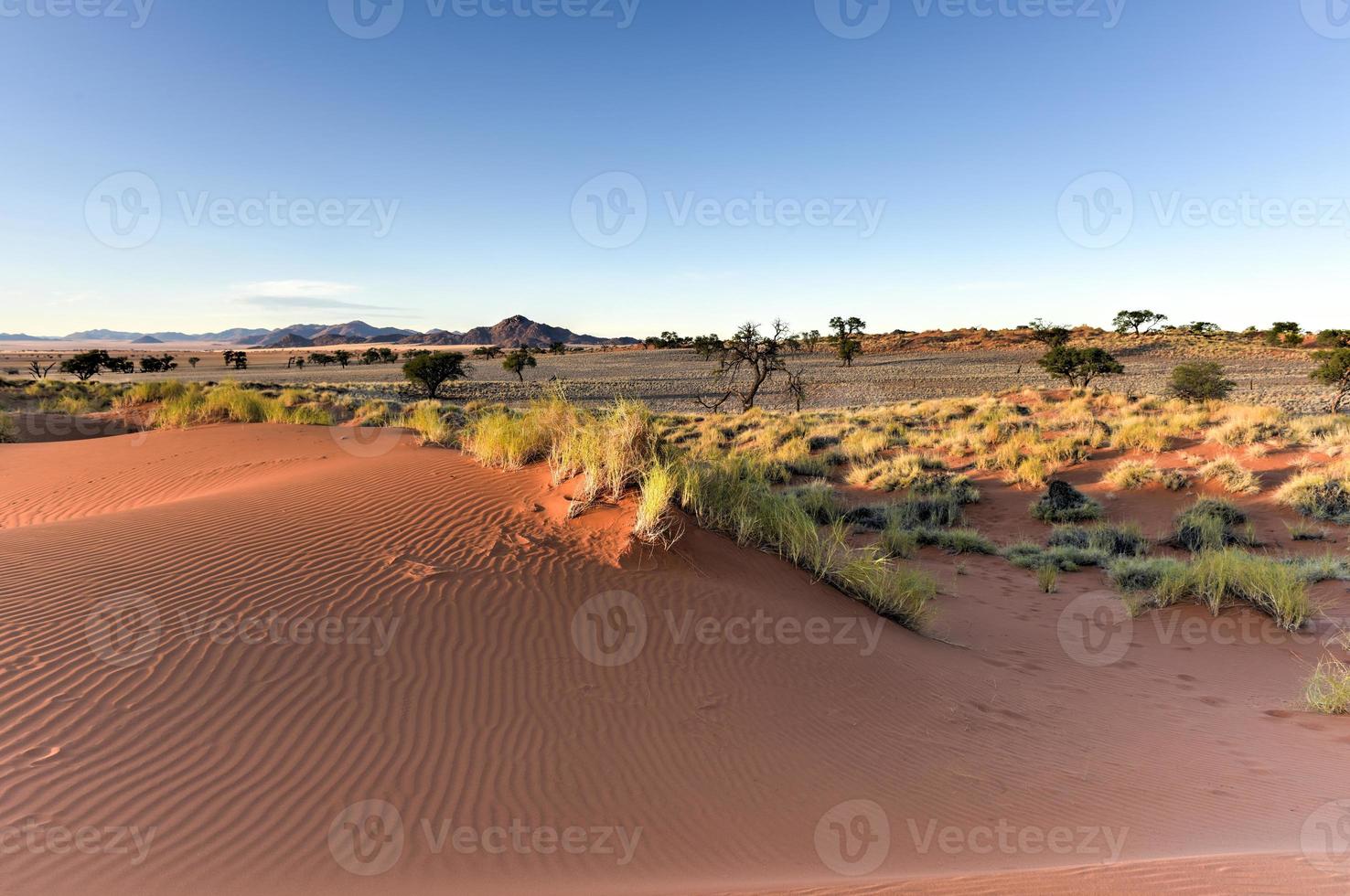 paisagem do deserto - namibrand, namíbia foto