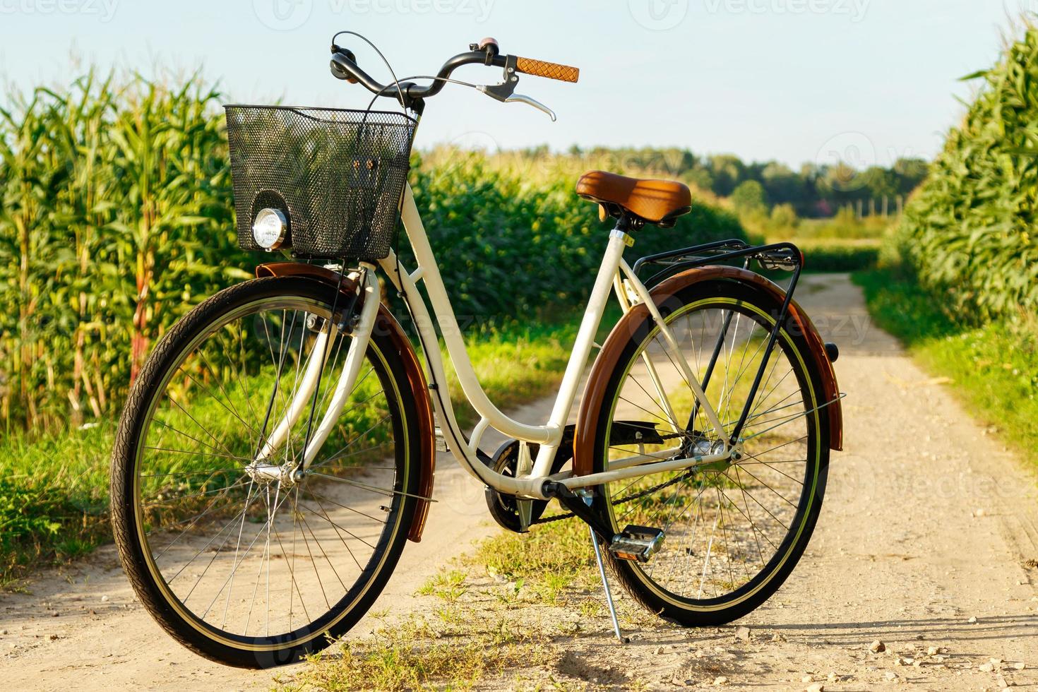 bicicleta de estilo clássico no campo de milho foto