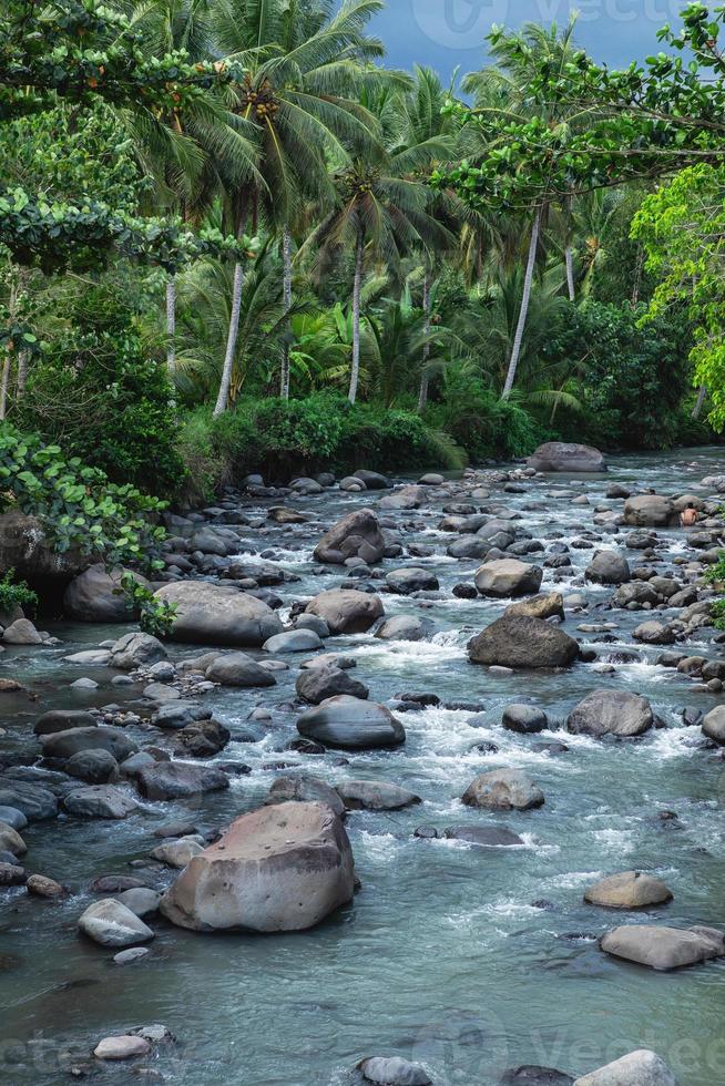 lindo rio com pedras e palmeiras na orla foto