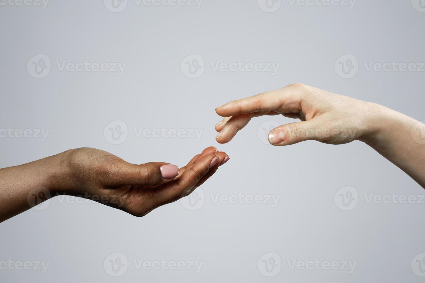 mãos femininas africanas e caucasianas em fundo cinza foto