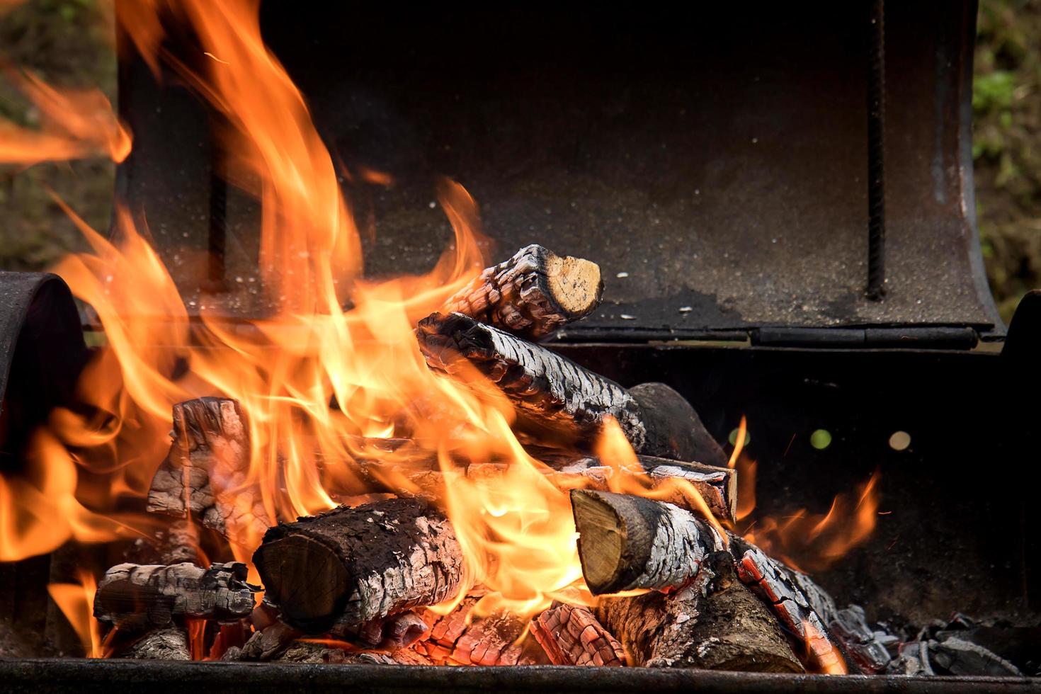 queima de lenha no churrasco, o conceito de recreação ao ar livre foto