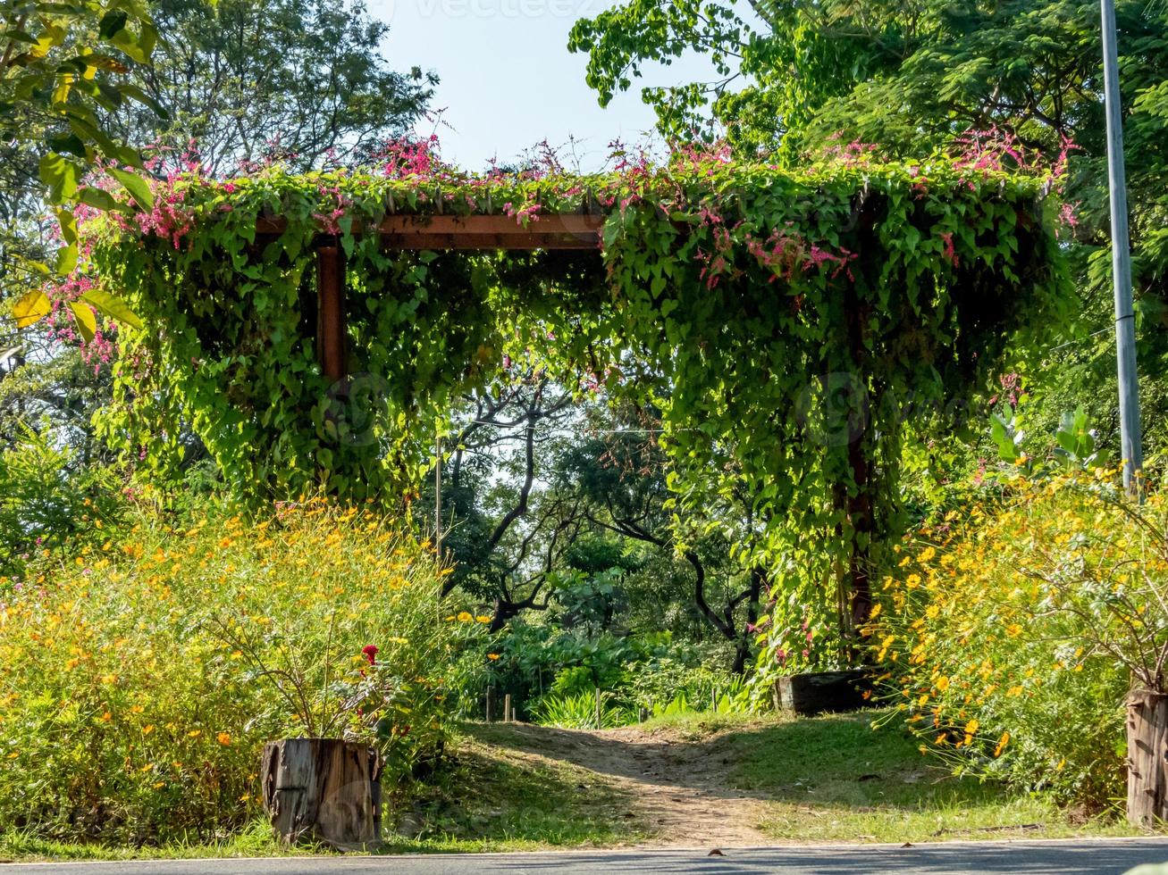 arco de flores no fundo da flor foto