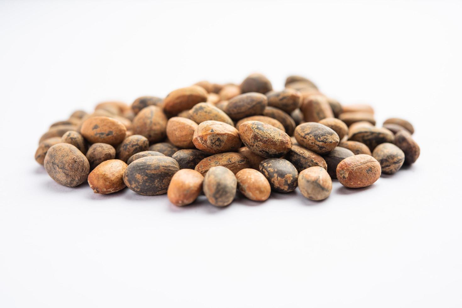 Jamalgota ou jayapala - semente de croton tiglium é um medicamento ayurvédico também conhecido como purga de croton foto