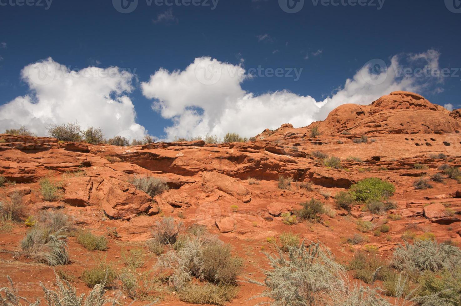 rochas vermelhas de utah foto