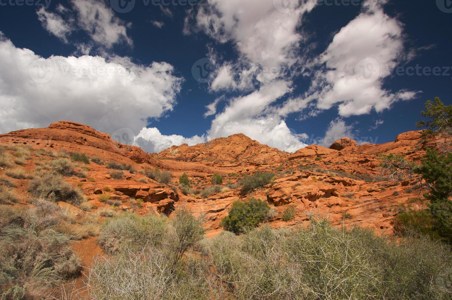 rochas vermelhas de utah foto