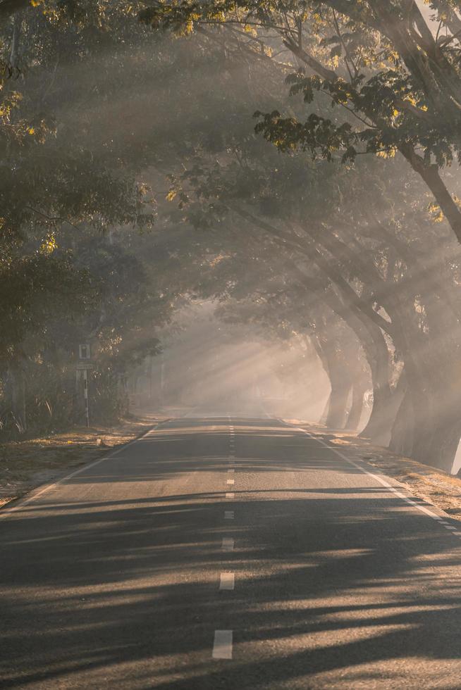 o nascer do sol ao nascer na manhã nebulosa do inverno foto