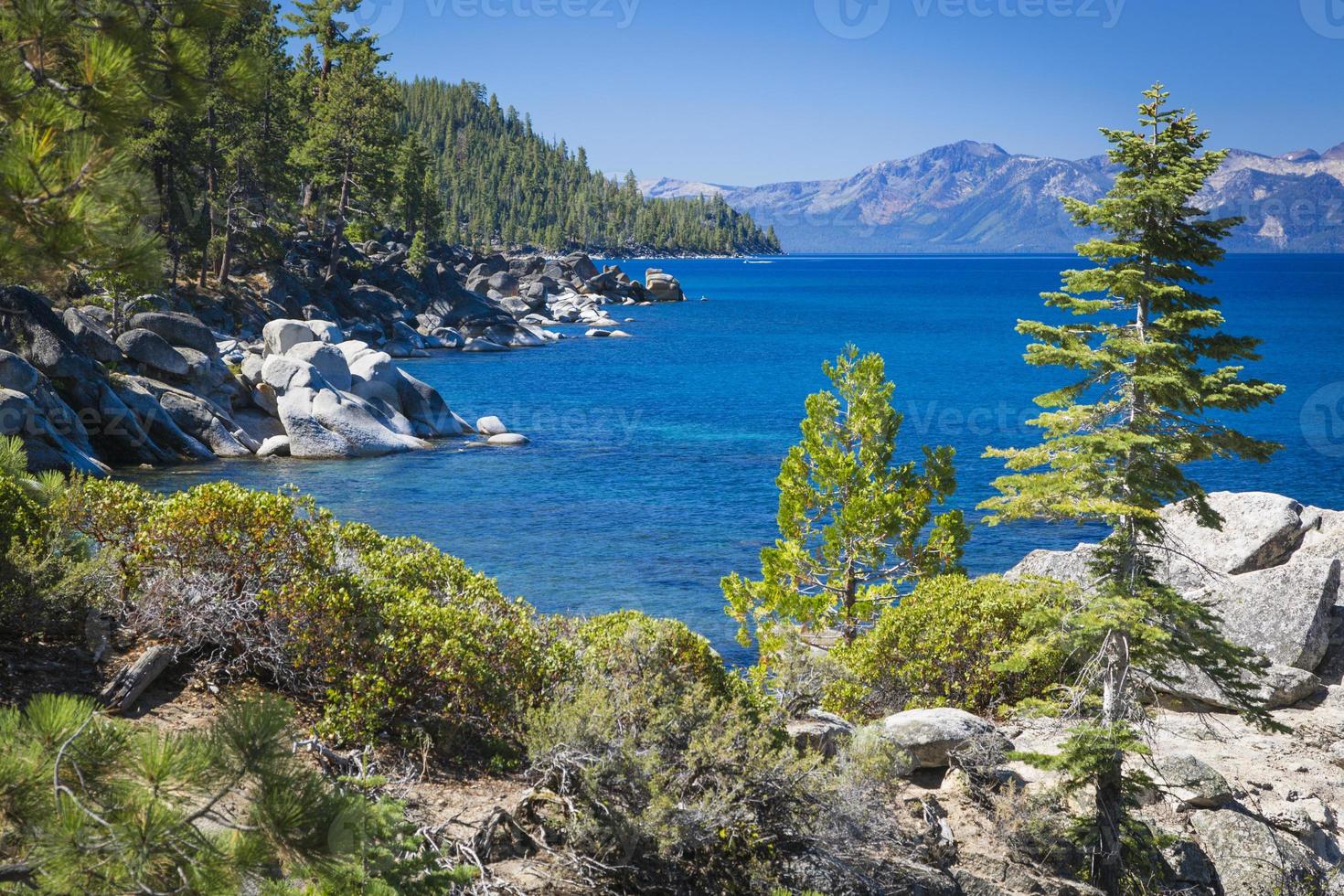 bela costa de lake tahoe foto