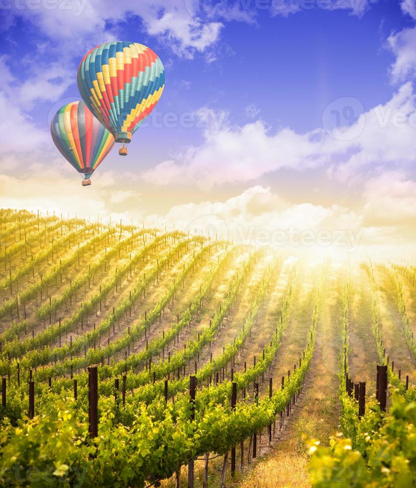 balões de ar quente voando sobre belo vinhedo de uva verde foto
