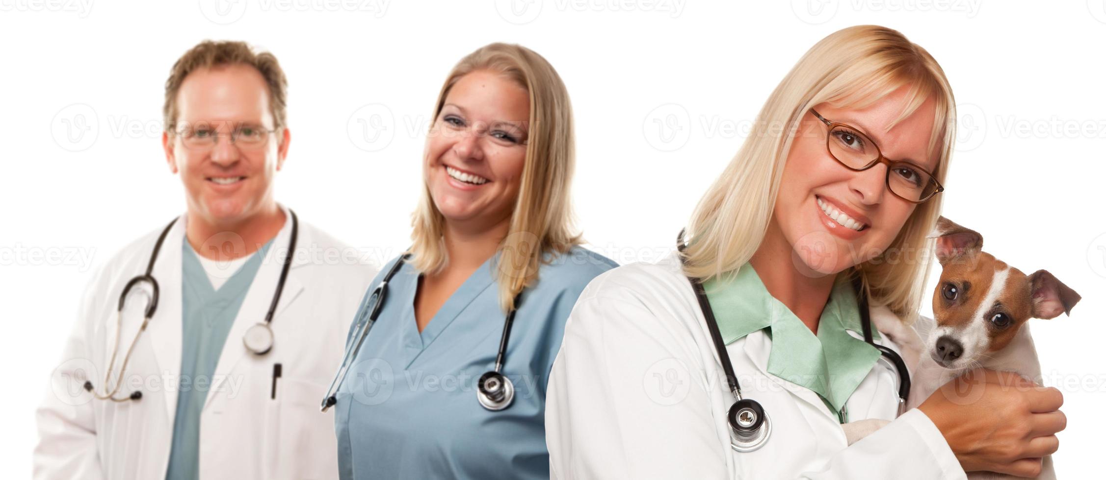 médicos veterinários femininos com cachorro pequeno foto
