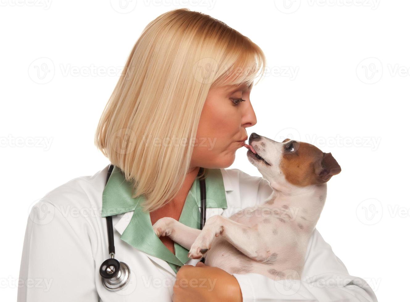 atraente médica veterinária com cachorrinho pequeno foto