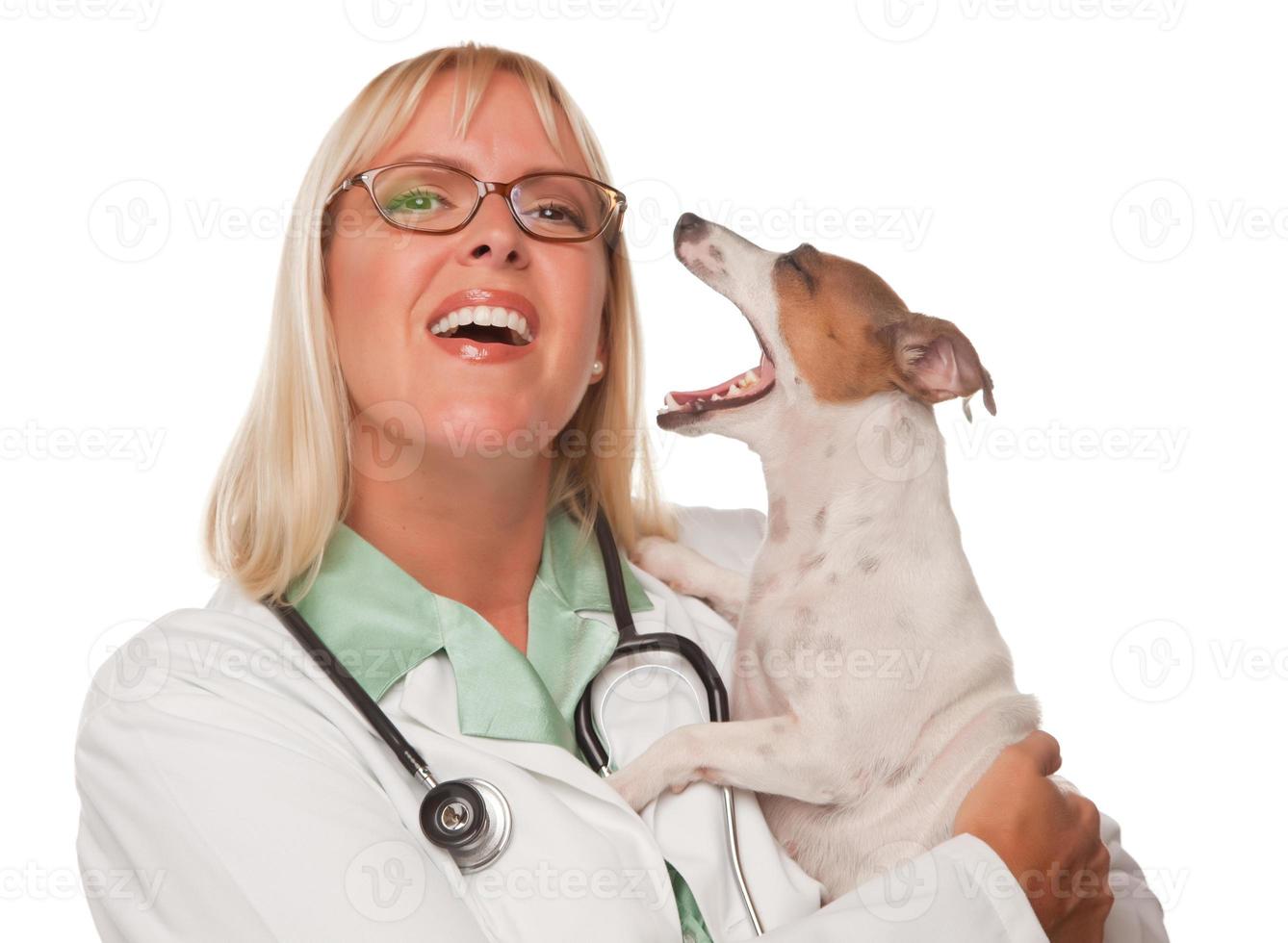 atraente médica veterinária com cachorrinho pequeno foto