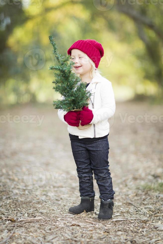 menina em luvas vermelhas e boné segurando pequena árvore de natal foto