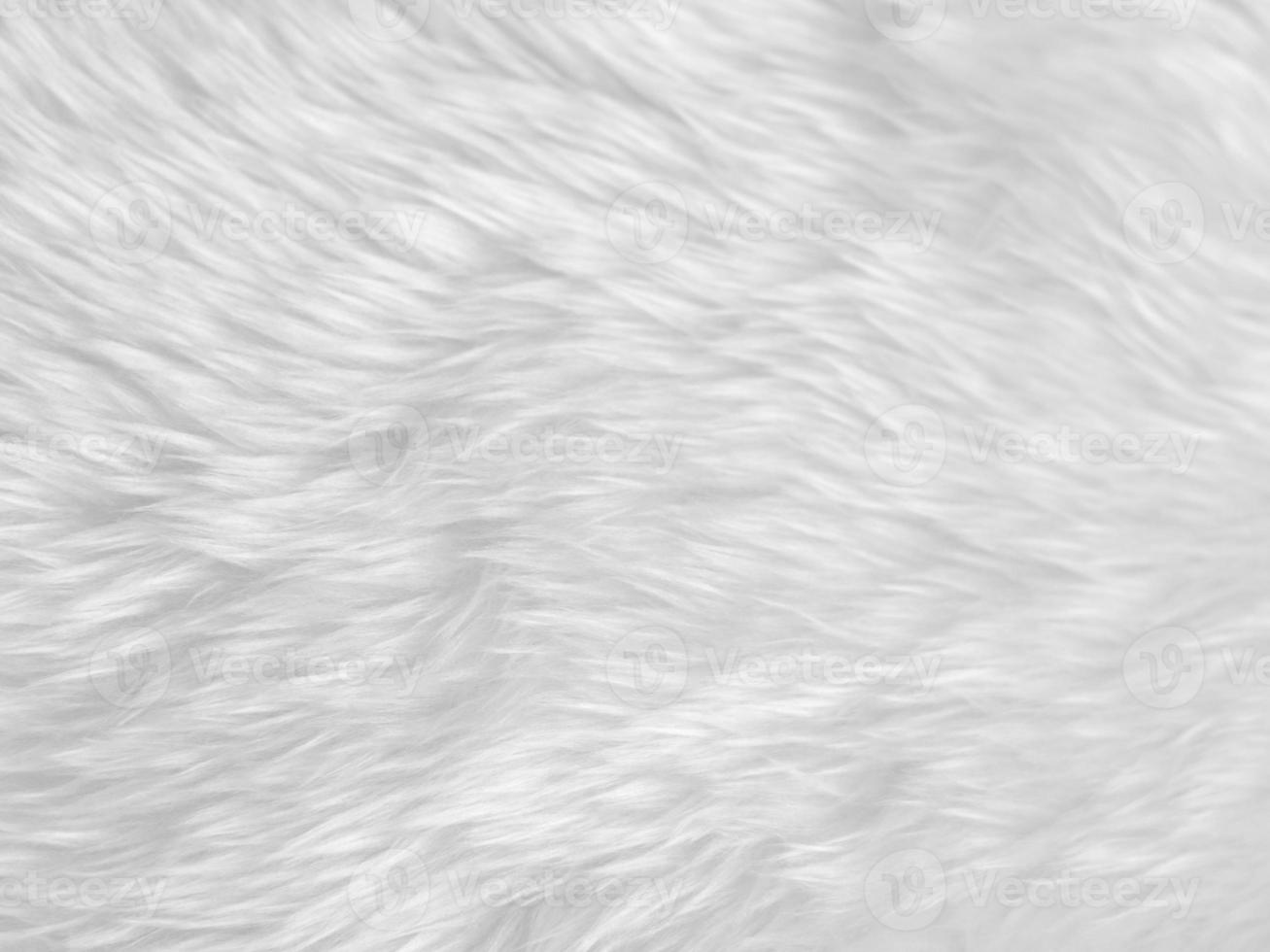 fundo de textura de lã limpa branca. lã de ovelha natural leve. algodão sem costura branco. textura de pele fofa para designers. tapete de lã branca fragmento close-up... foto