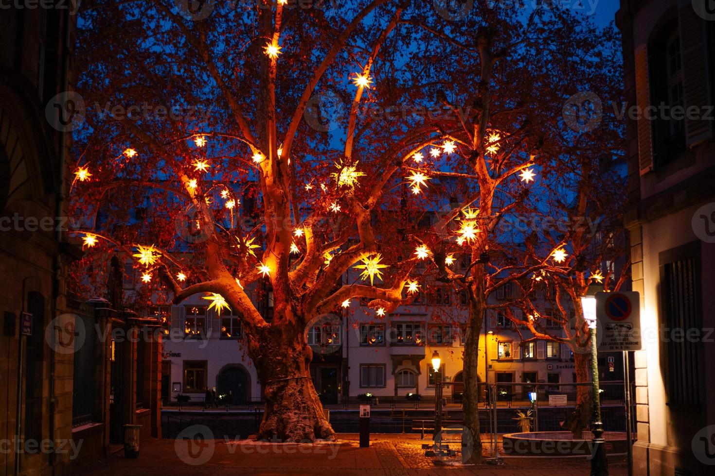 árvore coberta de iluminações de estrelas de natal foto