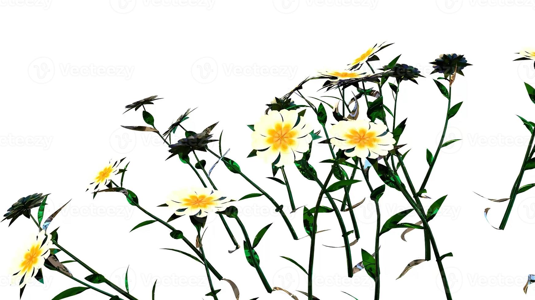 ilustração digital botânica de flores abstratas foto