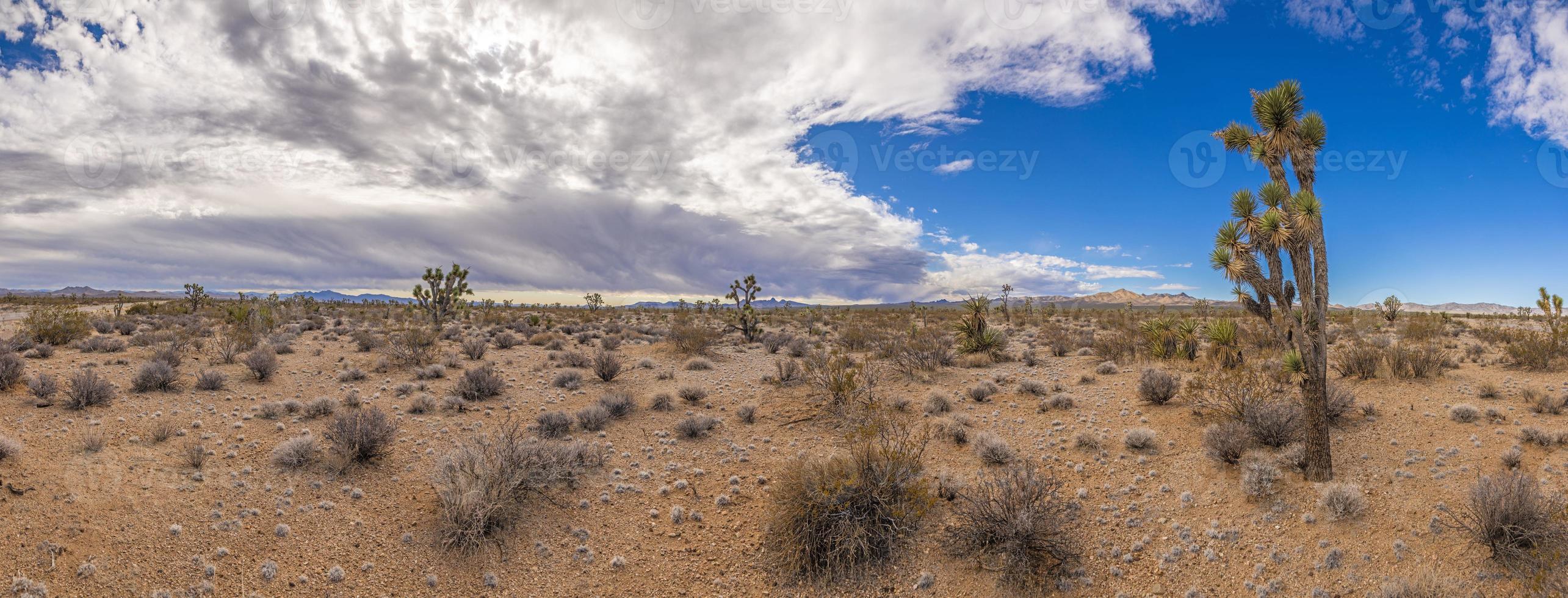 imagem panorâmica sobre o deserto do sul da Califórnia durante o dia foto