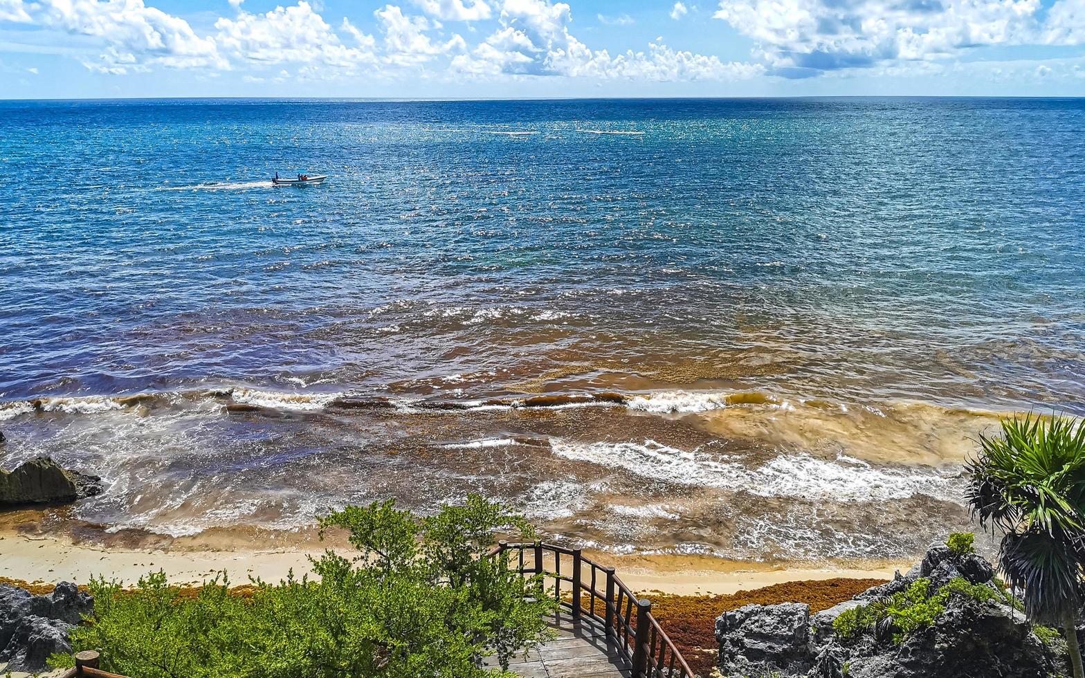 natural marinha panorama vista tulum ruínas maia local templo méxico. foto