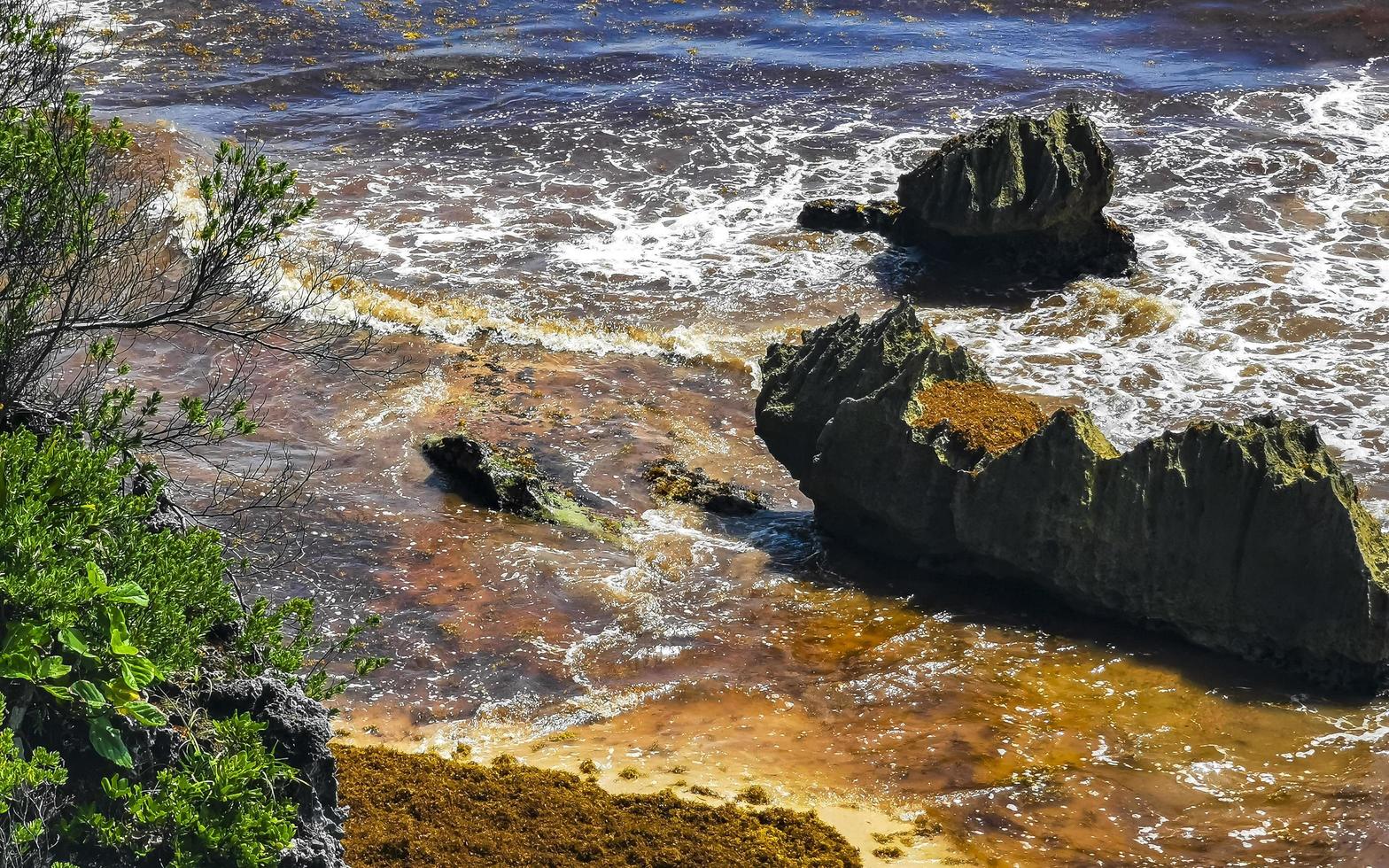 natural marinha panorama vista tulum ruínas maia local templo méxico. foto