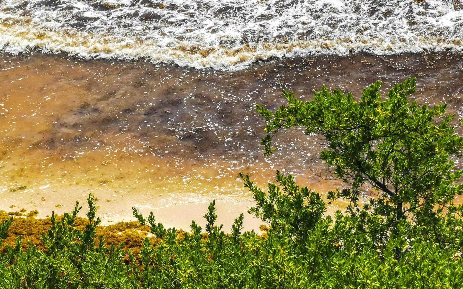 natural marinha panorama vista tulum ruínas maia local templo méxico. foto